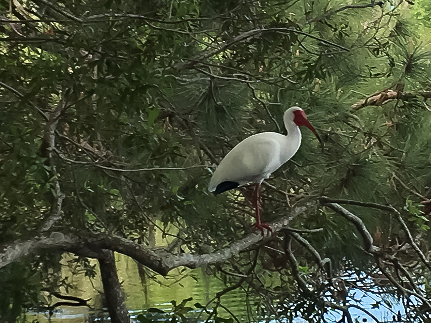 Westchester Lake Condominiums