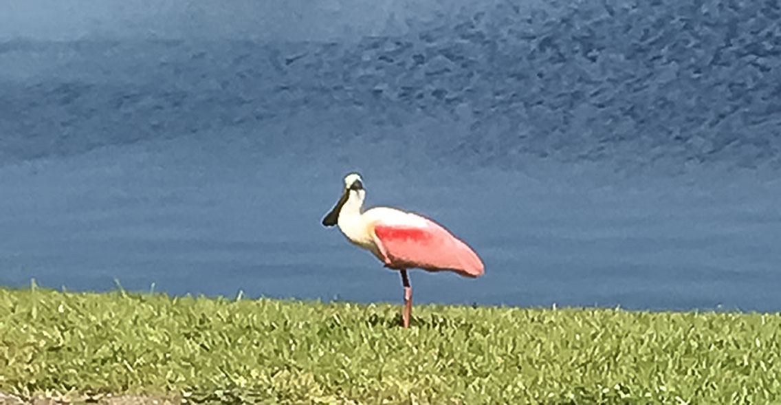 Westchester Lake Condominiums