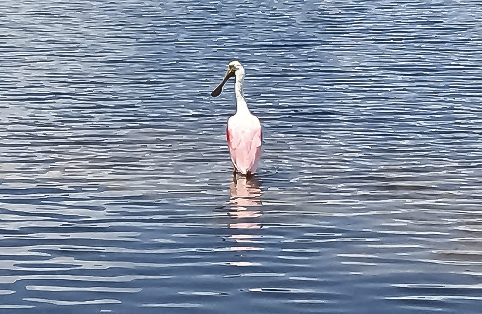 Westchester Lake Condominiums